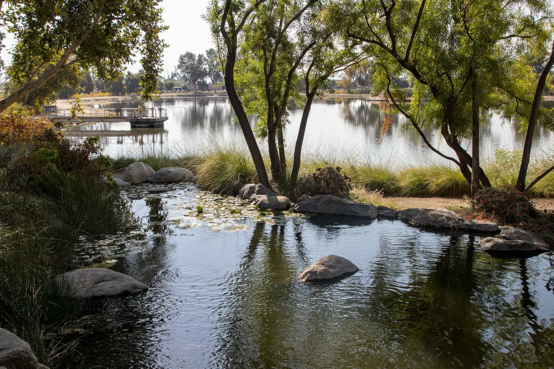 A pond surrounded by trees and rocks.